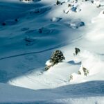 Freeride