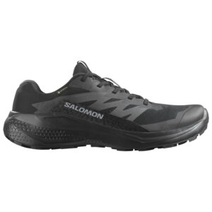 Salomon Alphaglide GTX Herren schwarz