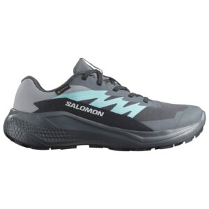 Salomon Alphaglide GTX Damen grau
