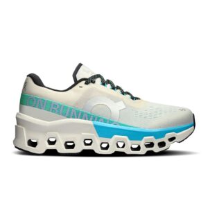 ON Cloudmonster 2 Damen grau/blau