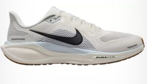 Nike Air Zoom Pegasus 41 Herren grau