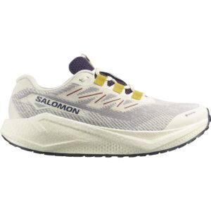 Salomon Aero Blaze 3 GRVL GTX Herren grau/weiß