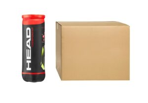 Head Championship Tennisball Karton - 24x3er Dosen