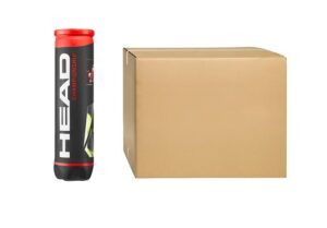 Head Championship Tennisball Karton - 36x4er Dosen