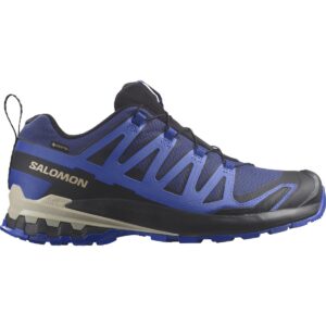 Salomon XA Pro 3D V9 GTX Herren blau