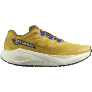 Salomon Aero Blaze 3 GRVL Herren gelb