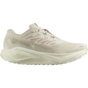 Salomon Aero Blaze 3 GRVL Damen weiß/grau